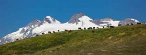 Im Aostatal schlägt das Herz im August auf der Alm Hochweiden-am-Rutor-Gletscher-Enrico-Romanzi-300x114 Im Aostatal schlägt das Herz im August auf der Alm
