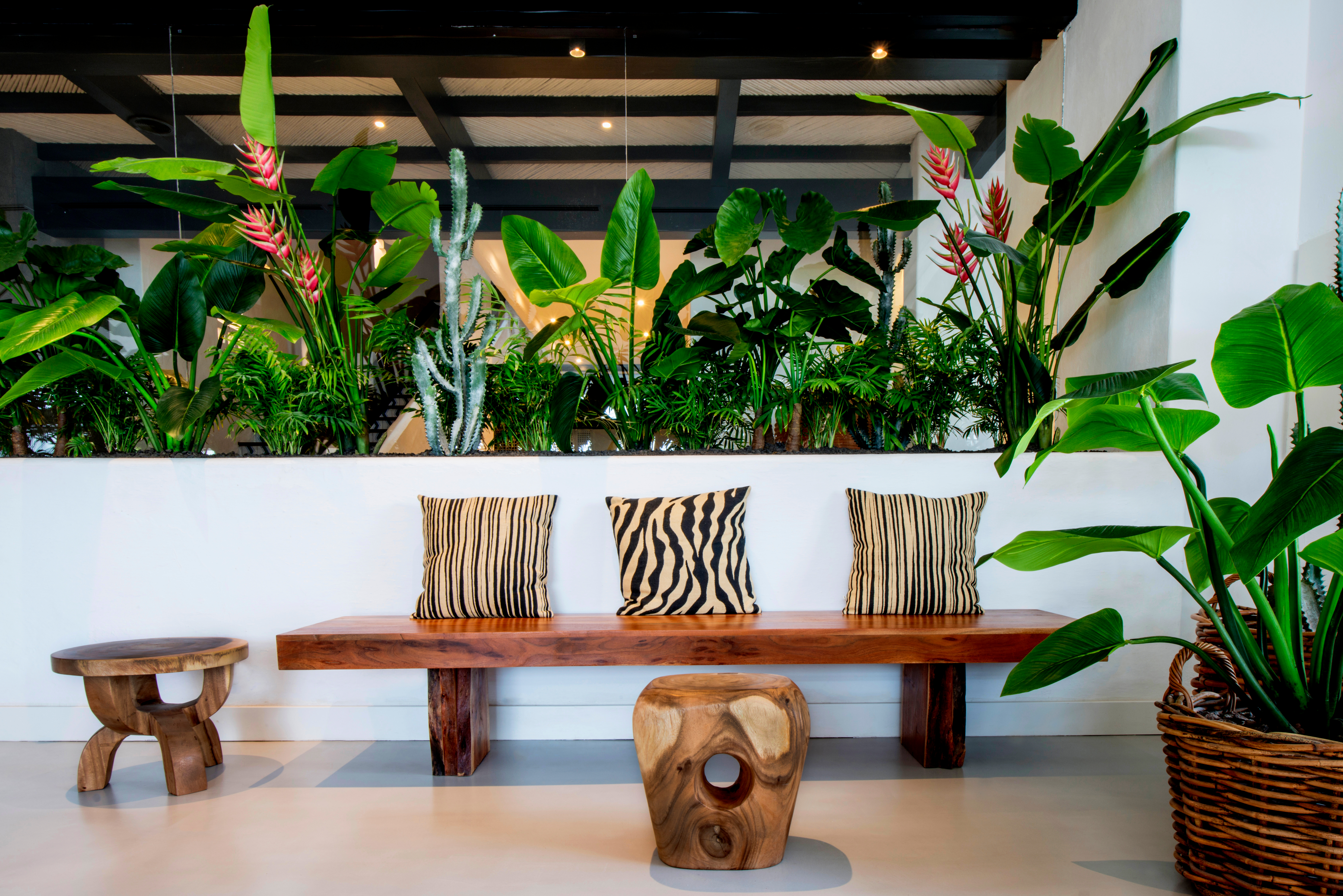 Jardín-Tropical_Design 