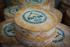 Käse-Fontina-DOP-Aostatal-EnricoRomanzi-300x200 Im Aostatal schlägt das Herz im August auf der Alm