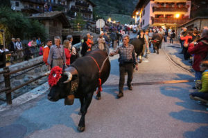 Almabtrieb-in-Cogne-Aostatal2-Copyright-Enrico-Romanzi-300x200 Die Kuh kehrt zurück – Das Aostatal feiert den Almabtrieb