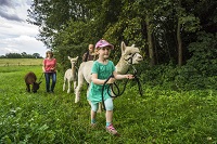 Alpaka-Wanderung Copyright Tourismus GmbH Nördlicher Schwarzwald