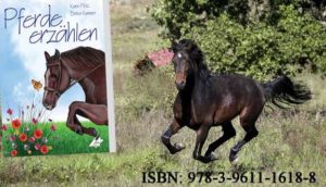 LiebevollZusammengestellt-300x172 Liebevoll zusammengestellte Geschichten über Pferde und Ponys