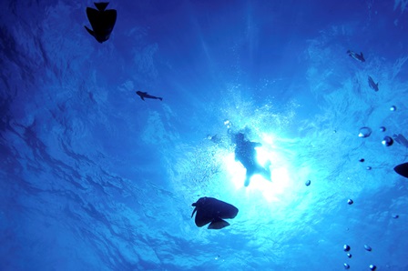 Eine Parallelwelt Unterwasser – Malaysias Tauchreviere TENGGOL-ISLAND-klein Eine Parallelwelt Unterwasser – Malaysias Tauchreviere