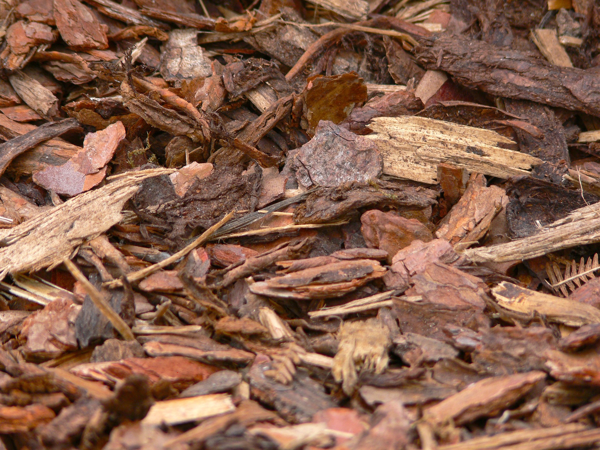 Rindenmulch im Herbst als Winterschutz Frostschutz für Garten Grüanlagen Parks. Reloga Holz- und Kompostprodukte