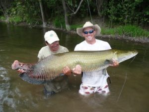 Guyana_Arapaima-300x225 Sportliche Abenteuer im Naturparadies – Guyana lässt sich aus vielen Blickwinkeln heraus entdecken