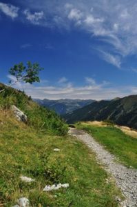 25 Jahre Nationalpark Val Grande am Lago Maggiore Wanderweg-Val-Grande-Roberto-Maggioni-199x300 25 Jahre Nationalpark Val Grande am Lago Maggiore