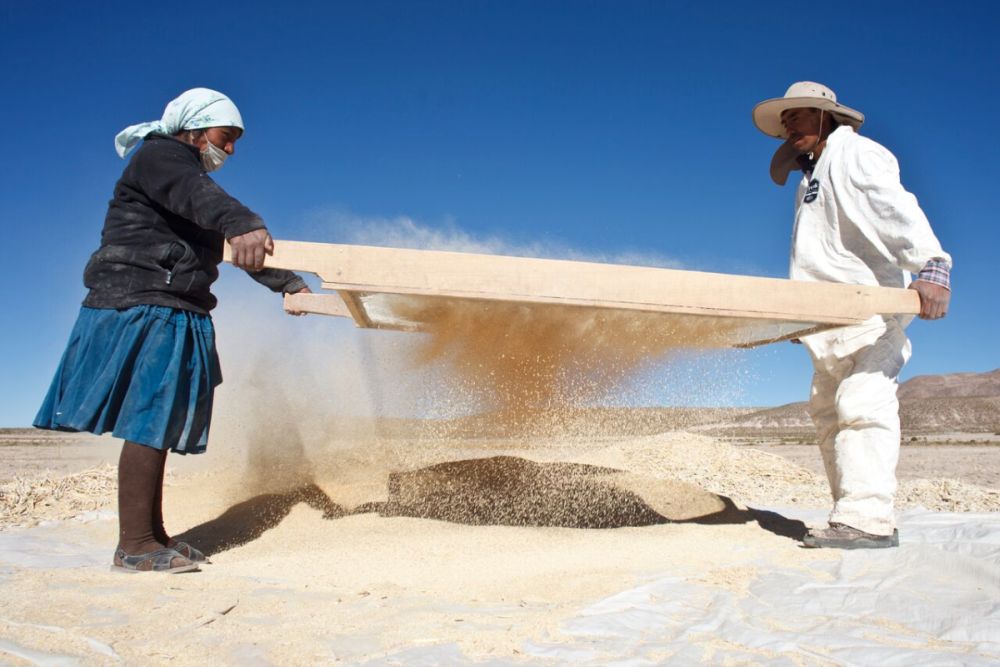 Quinoa macht glücklich lobOlmo_Quinoa-Bauern-klein Quinoa macht glücklich