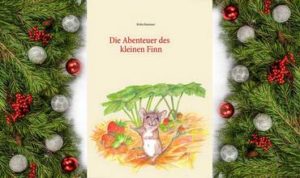 WeihnachtenFinn-300x178 Buchtipp für Weihnachten - Die Abenteuer des kleinen Finn