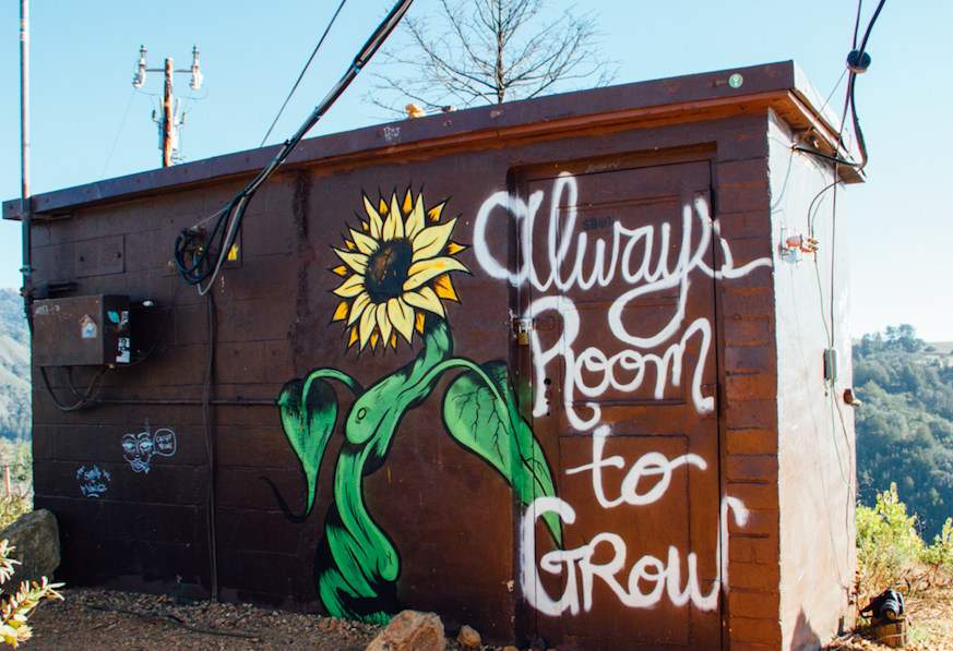 Haus mit Schriftzug "Always Room to Grow"