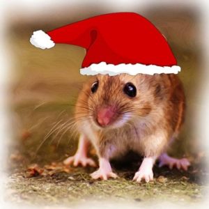 WeihnachtenMaeuseBrittaKarina-300x300 Mäusealarm zu Weihnachten
