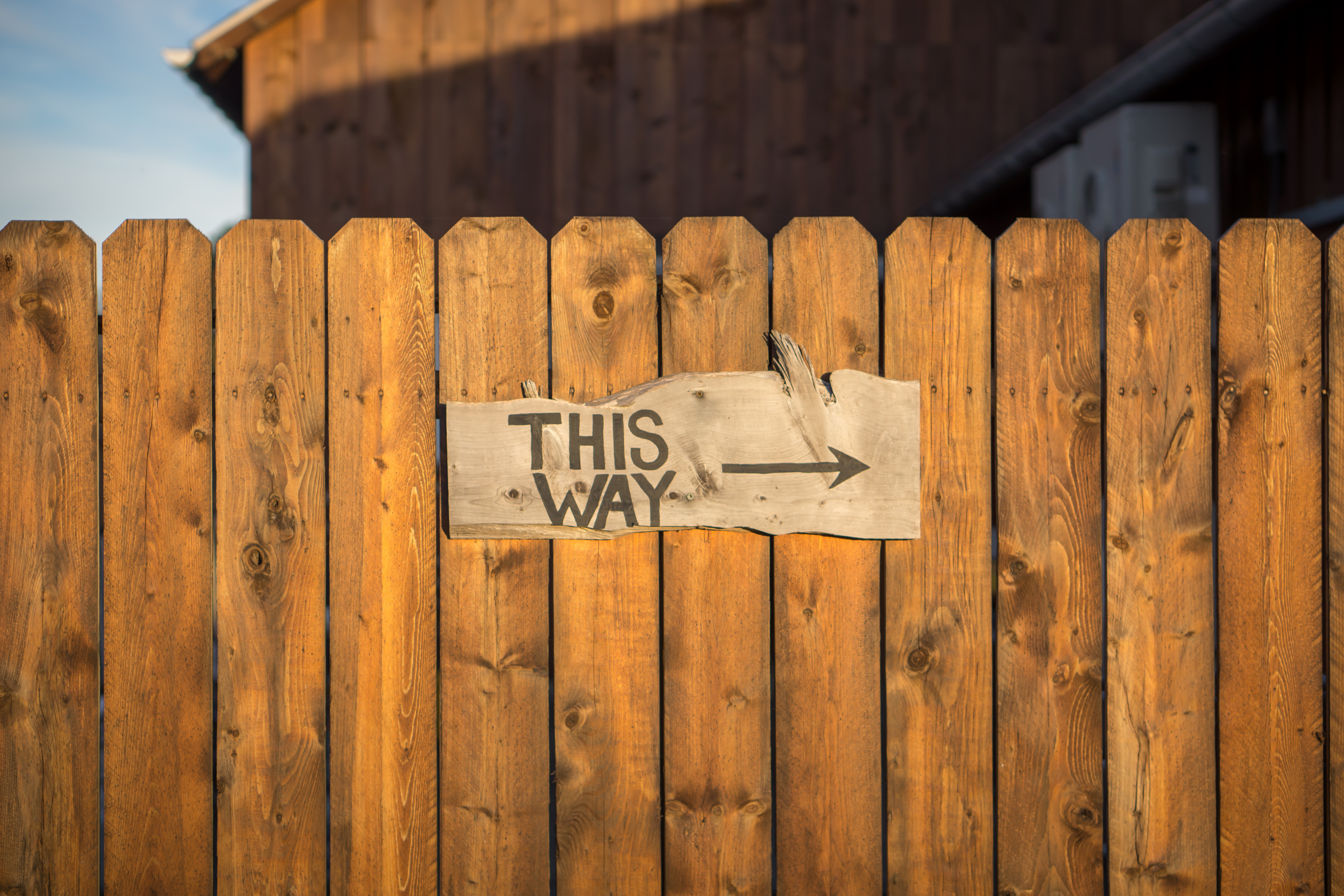 Zaun mit Schild "This Way"