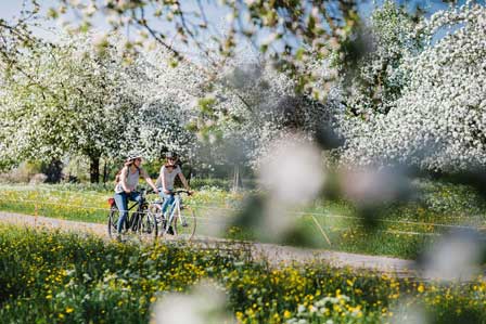 Egnach_Bluescht_2©Medienstelle-Thurgau-Tourismus Blüten- und Apfelparadies Thurgau