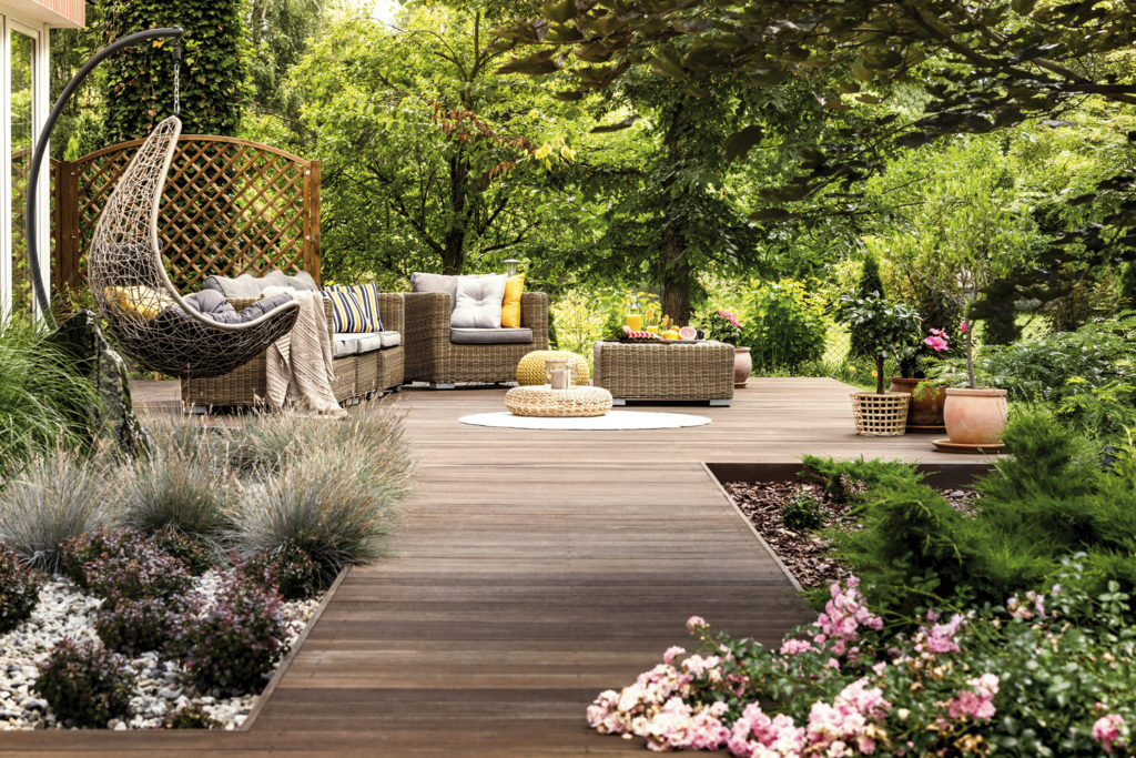 Natürliches Anti-Aging für ergraute Holzdielen Terrasse_Pflanzen-1024x683 Natürliches Anti-Aging für ergraute Holzdielen