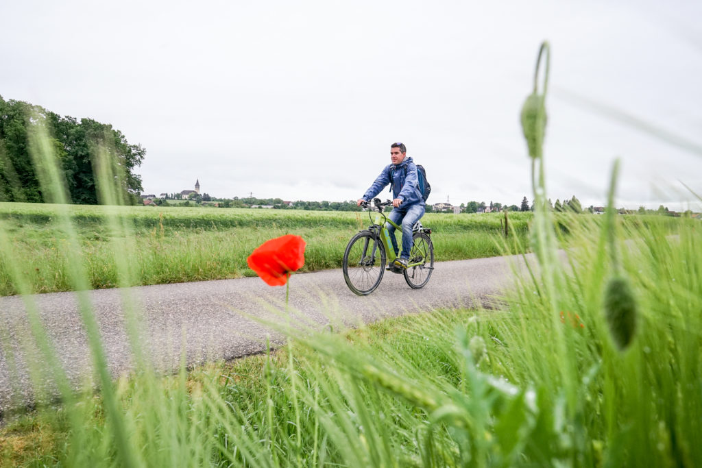 Thurgau_Velo_Mohn-1024x683 Auf zwei Rädern durch den Thurgau