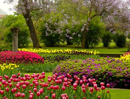 Der Lago Maggiore blüht au Tulpen2©Roberto-Maggioni Der Lago Maggiore blüht au