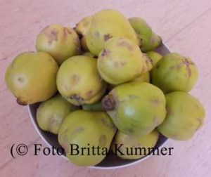 QuittenMarmelade2-300x252 Kennen Sie Quitten?