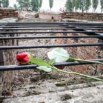 Die Kunst und der Holocaust – IBB e.V. lädt ein zur Studienfahrt nach Auschwitz Die Kunst und der Holocaust – IBB e.V. lädt ein zur Studienfahrt nach Auschwitz