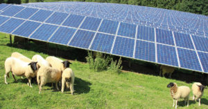 Solarpark_Dietzhoelztal-web-300x158 Solaranlagen fahren reiche Sonnenernte im ersten Halbjahr ein
