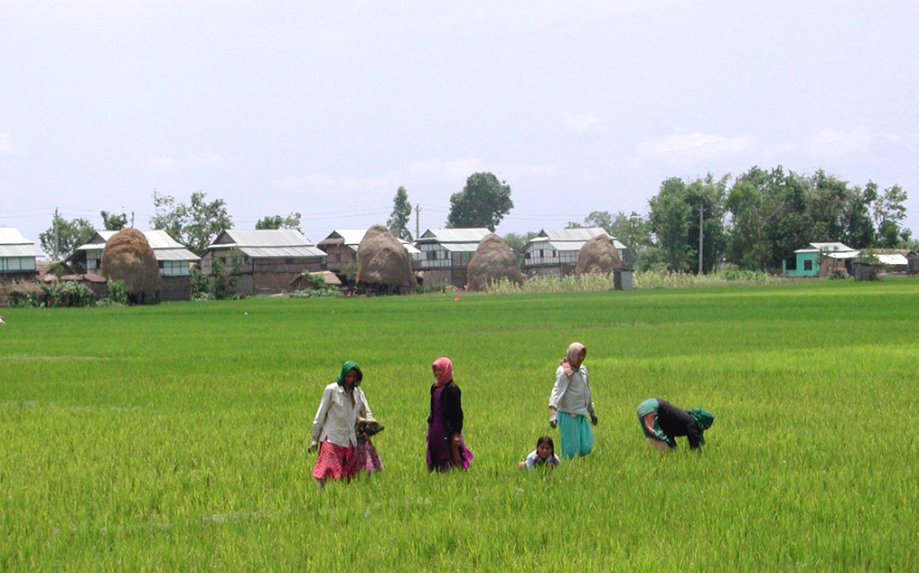 ADB Study: More food for less water in southern Asia sri-lanka_e ADB Study: More food for less water in southern Asia