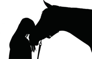 MenschPferdEineFaszinierendeVerbindung-300x194 Mensch und Pferd – eine faszinierende Verbindung