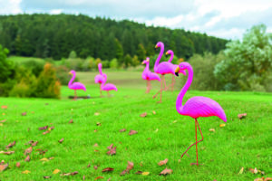 Schnelle Autos, Diamanten und Flamingos 197-smic-ORANGE-CUP-2019-GC-Am-Habsberg-Miami-Vice-Deko-Flamingo-1000-300x200 Schnelle Autos, Diamanten und Flamingos