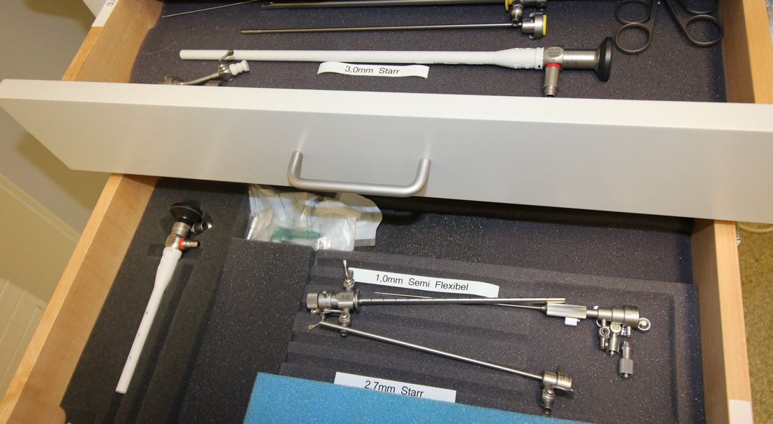 Gastroenterologie beim Tierarzt für Baden-Baden - inar.de