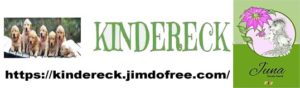 Neues aus dem Kindereck KindereckJuna_-300x88 Neues aus dem Kindereck