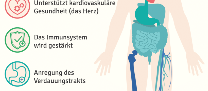 Basenkur-Basenfasten-verbessert-Körperfunktionen