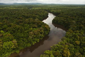 Guyana satt auf 3sat – Fünf Stunden lang TV-Reportagen über das südamerikanische Land – Fernseh-Tipp für den 14. April Essequibo-River__AerialView©PeteOxford-300x200 Guyana satt auf 3sat – Fünf Stunden lang TV-Reportagen über das südamerikanische Land – Fernseh-Tipp für den 14. April