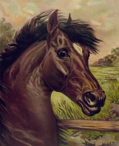 VomBeuteZumReittier-244x300 Vom Beute- zum Reittier