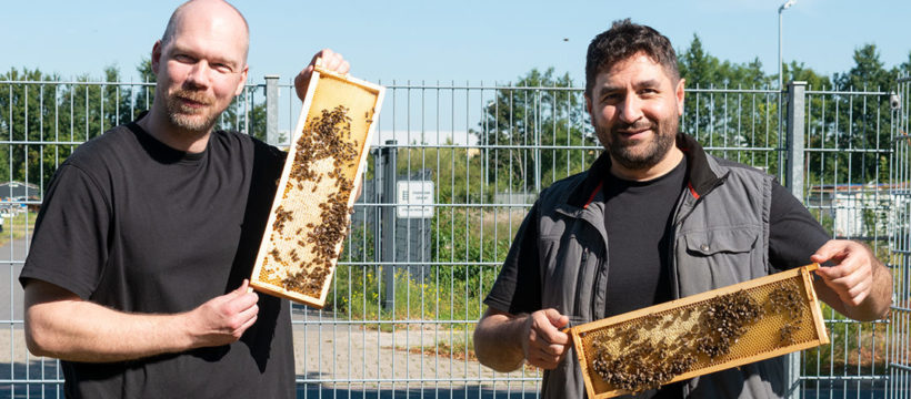 Das Bienen-Leasing geht weiter: Die beiden Logistiker Tobias Wellbrock und Houssam Remmo (v.l.) bei terminic zeigen stolz die Honigwaben der terminic-Bienen in die Kamera