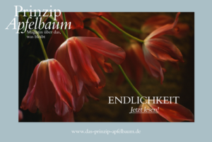 Leben mit der ENDLICHKEIT – Neue Ausgabe des Online-Magazins Prinzip Apfelbaum Prinzip-Apfelbaum-Magazin_Ausgabe-21-ENDLICHKEIT_Cover_500px-300x202 Leben mit der ENDLICHKEIT – Neue Ausgabe des Online-Magazins Prinzip Apfelbaum