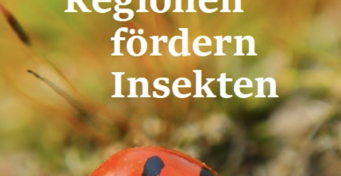 Weingut Hafner - Bodensee-Stiftung