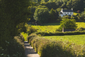 Ab durch die Hecke – Jersey fährt weitere Etappe im Aufforstungsprojekt “Green Grid” – Insel will bis 2030 klimaneutral sein 1663-300x200 Ab durch die Hecke – Jersey fährt weitere Etappe im Aufforstungsprojekt “Green Grid” – Insel will bis 2030 klimaneutral sein