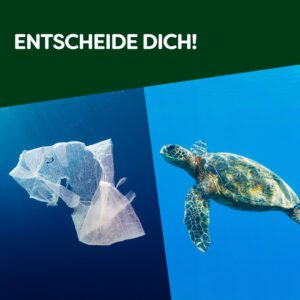 Tschüss, Neuplastik: Knorr Professional stellt auf recycelte Verpackungen um UFS_Knorr_Sustainability-1-300x300 Tschüss, Neuplastik: Knorr Professional stellt auf recycelte Verpackungen um