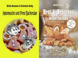 BackideenIndie-300x225 Backideen