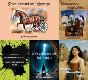 SchonGelesenIndie-300x271 Schon gelesen?