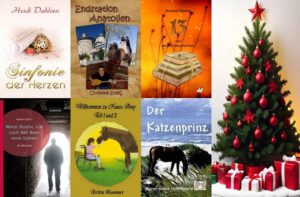 BuchWeihnachtsgeschenk-300x197 Suchen Sie ein Buch als Weihnachtsgeschenk?