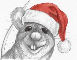 Finn sendet herzliche Weihnachtsgrüße an alle! FinnFroheWeihnachten-300x233 Finn sendet herzliche Weihnachtsgrüße an alle!