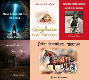 AuswahlHeidiChristineBritta-300x270 Auswahl an Büchern