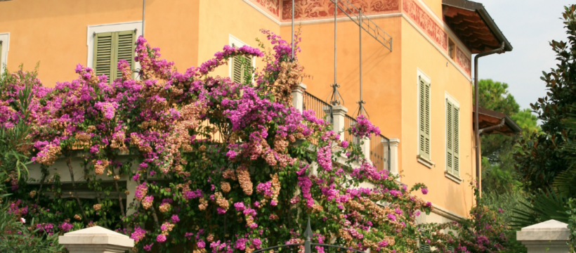 Kurzzeitvermietung und Ferienimmobilien in Italien