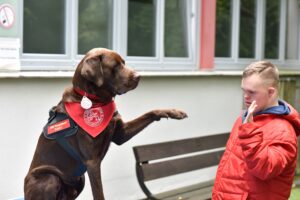 Therapiehund-Bailey-und-Fabian_presse.jpg-300x200 SCHACHZUG unterstützt tiergestützte Therapie im Uniklinikum Erlangen